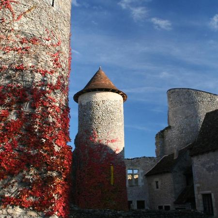 Chateau D'Ingrandes Ingrandes  Zewnętrze zdjęcie