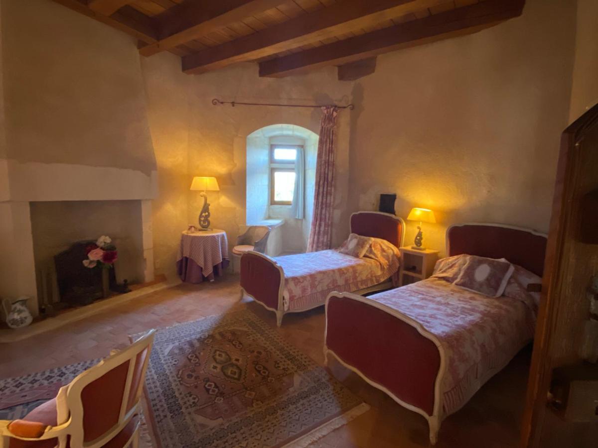 Chateau D'Ingrandes Ingrandes  Zewnętrze zdjęcie