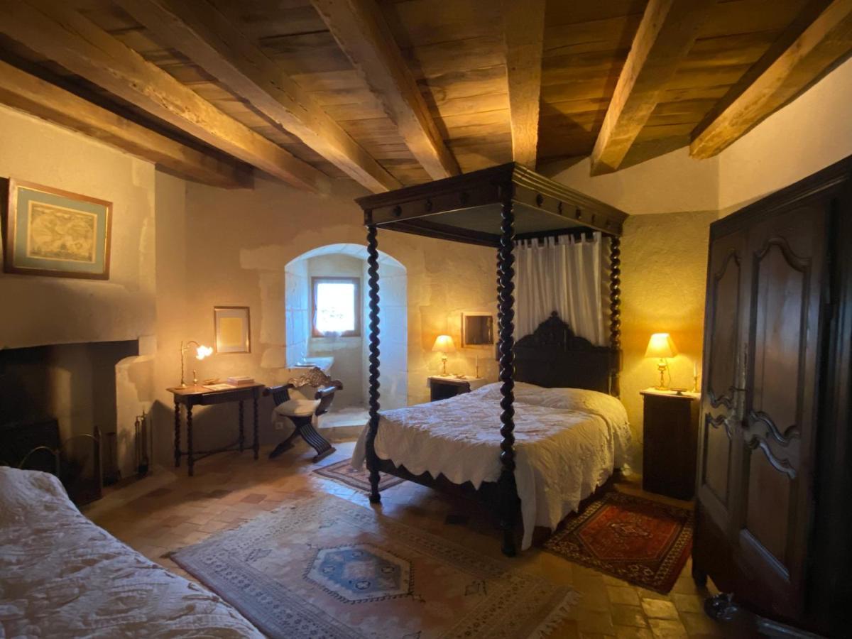 Chateau D'Ingrandes Ingrandes  Zewnętrze zdjęcie