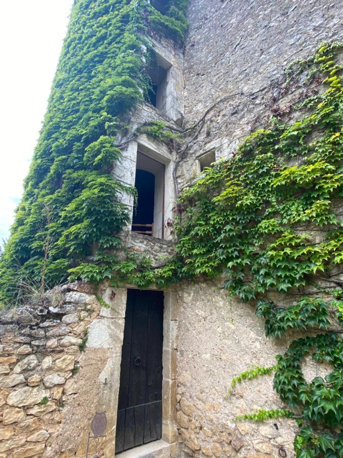 Chateau D'Ingrandes Ingrandes  Zewnętrze zdjęcie