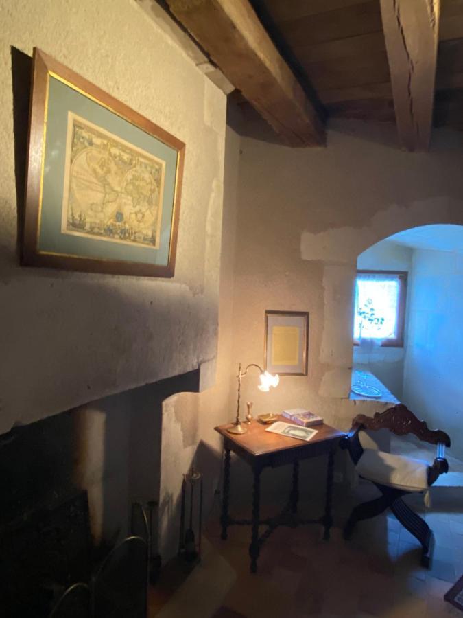 Chateau D'Ingrandes Ingrandes  Zewnętrze zdjęcie