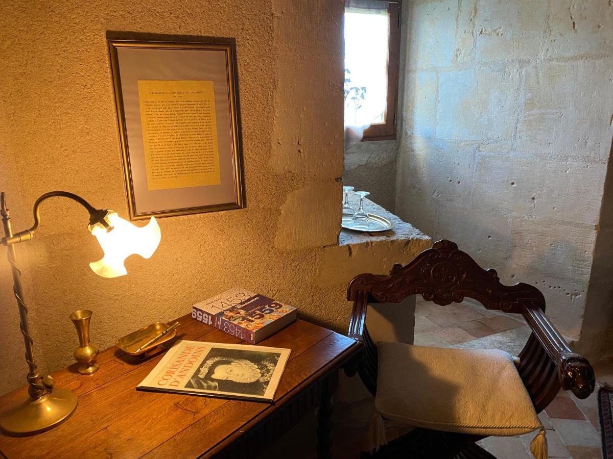 Chateau D'Ingrandes Ingrandes  Zewnętrze zdjęcie