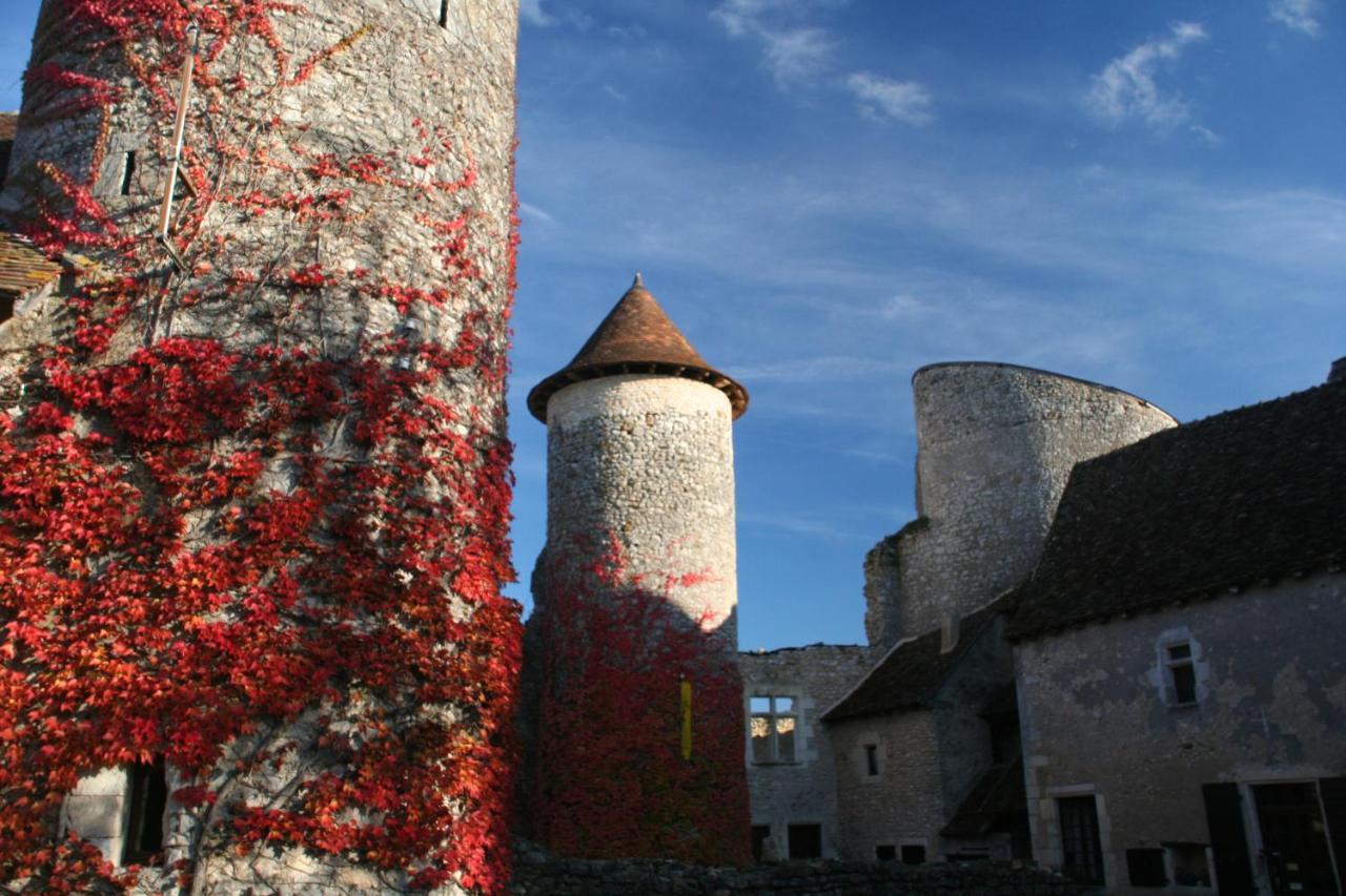 Chateau D'Ingrandes Ingrandes  Zewnętrze zdjęcie