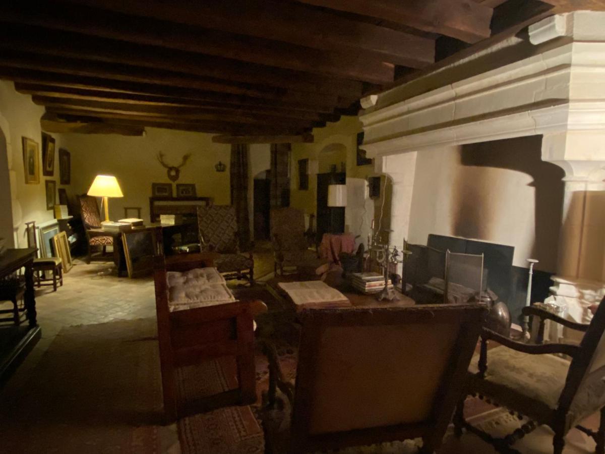 Chateau D'Ingrandes Ingrandes  Zewnętrze zdjęcie