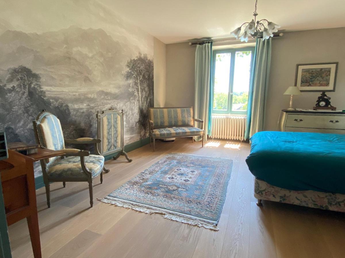 Chateau D'Ingrandes Ingrandes  Zewnętrze zdjęcie