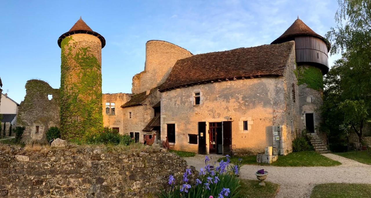 Chateau D'Ingrandes Ingrandes  Zewnętrze zdjęcie