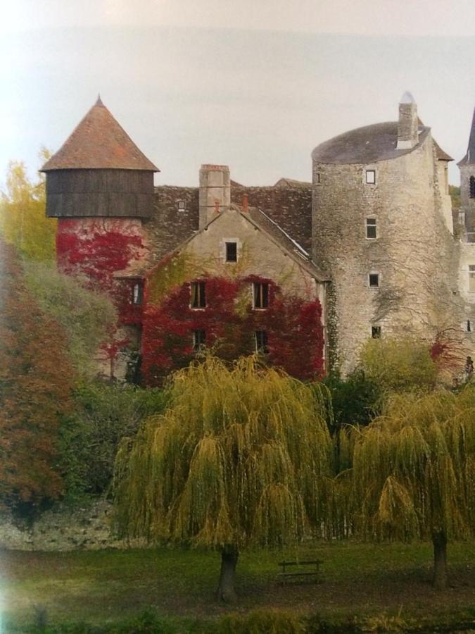 Chateau D'Ingrandes Ingrandes  Zewnętrze zdjęcie