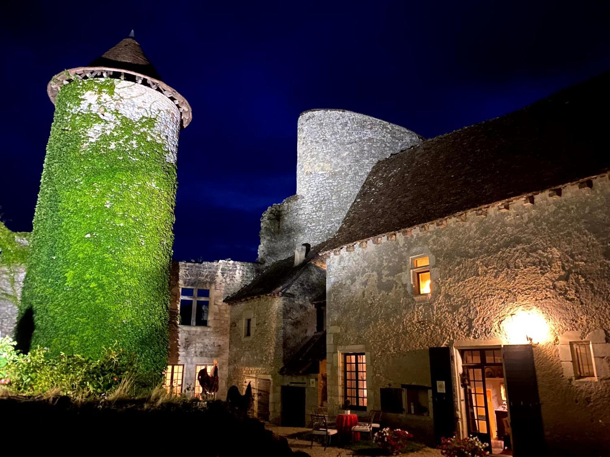 Chateau D'Ingrandes Ingrandes  Zewnętrze zdjęcie