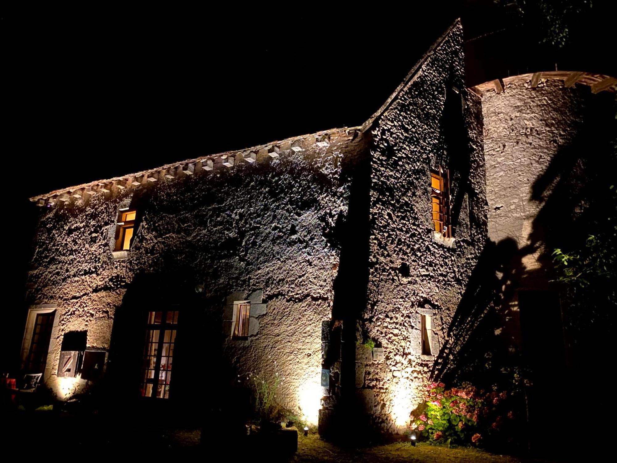 Chateau D'Ingrandes Ingrandes  Zewnętrze zdjęcie